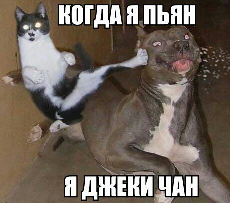 _ МДА Я ПЫШ ___ а н джънишн