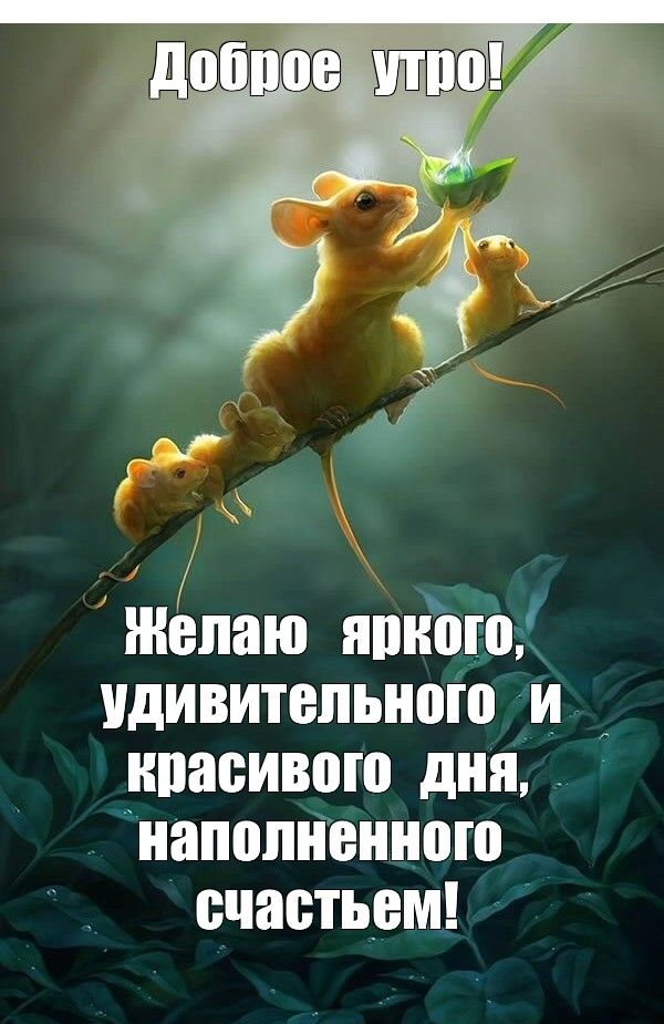 івпаю ппного удивительного и _ красивого дня Наполненные счастьем
