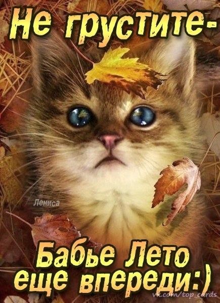 уд ъ Бабье Лето еще впергмііт А