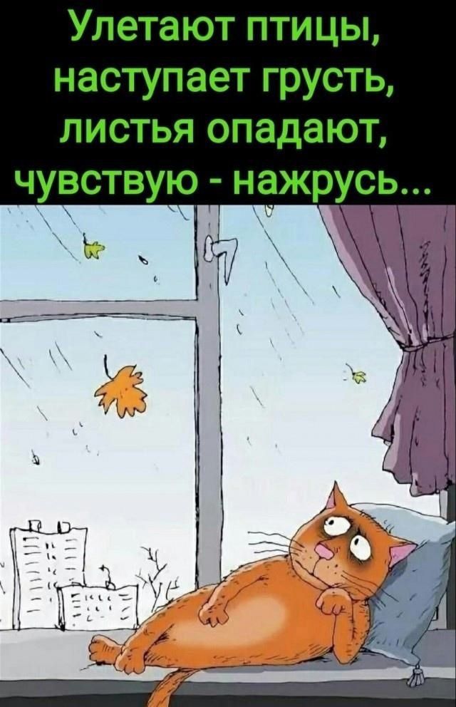 Улетают птицы наступает грусть листья спадают чувствую нажрусь к