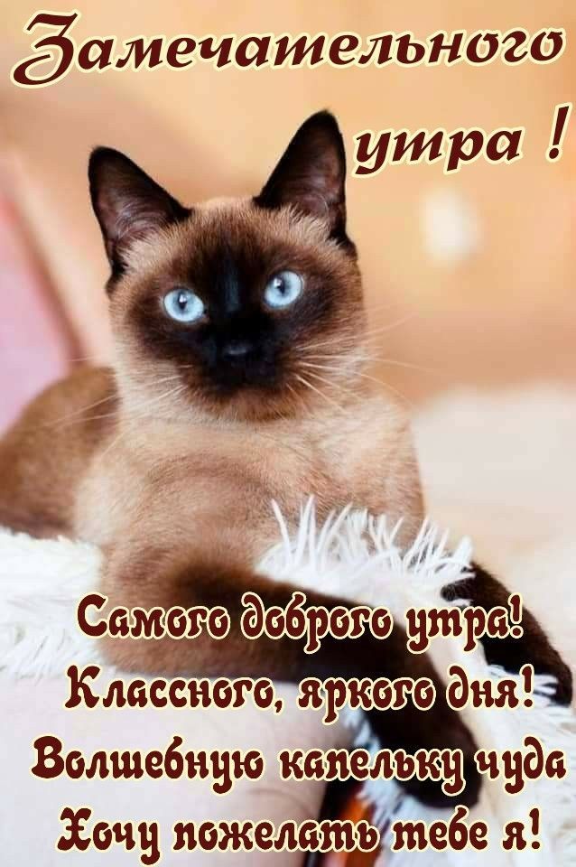Замечательного утра Классные яркого дня Волшебник капельки чуда _1 1 Хочу пожелдтутебе я