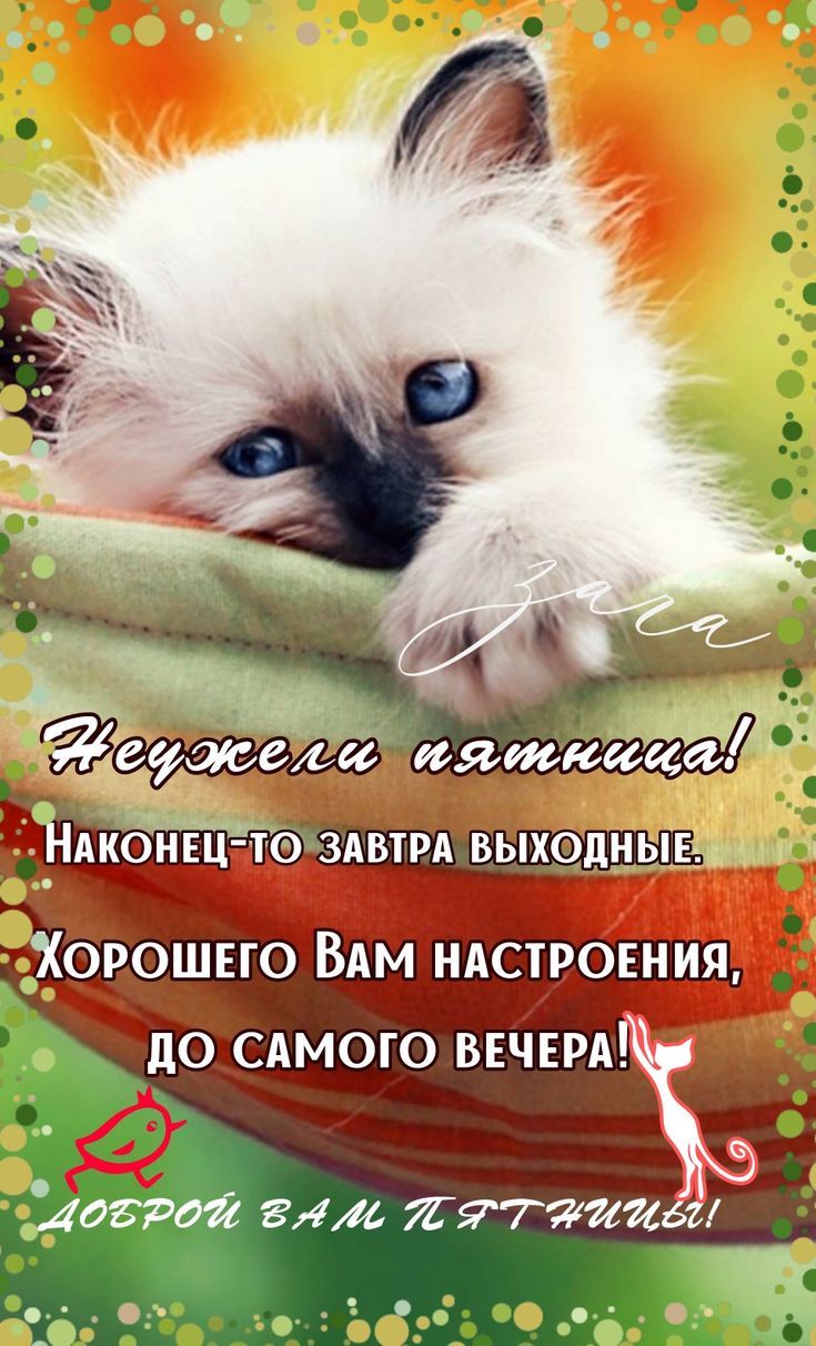 Заидси иящш ЁПШОНЕЦТО ЗАВТРА ВЫХОДЫЕЬм шс сХорошнго ВАм ндстронния до сдмого РМХ дегтя зим луччтит