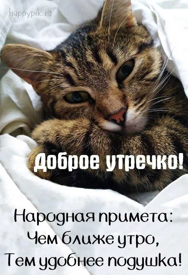 1 пбпов утречка Норо9ная примете Чем бщже утро Тем 99обнее по99шКо