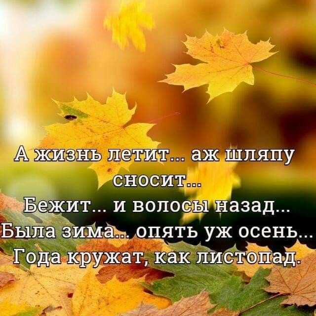 ёё ивопо__ назад имён Аопять ж осень У