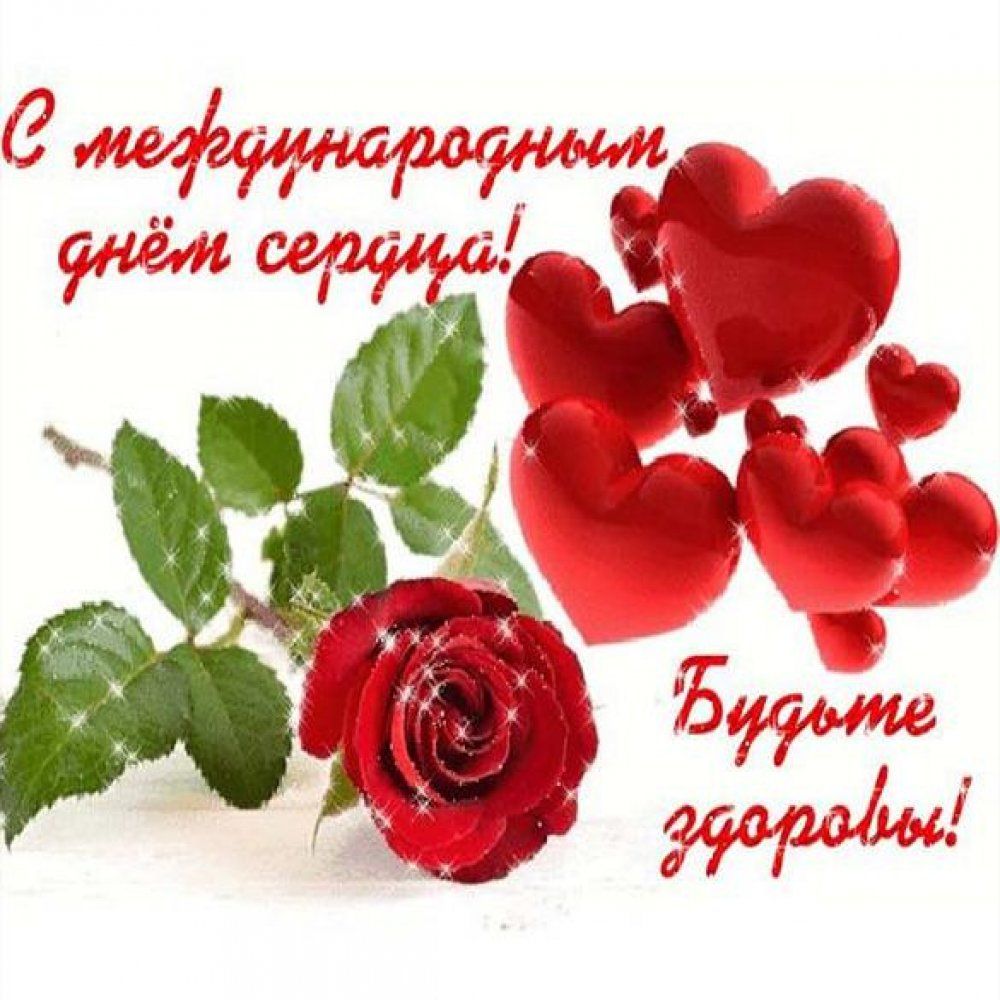 ацёжщиумиг Уди4 ауд