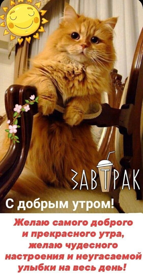 ёА ВЁЁР АК С добрым утром Желаю самого доброго и прекрасного утра желаю чудесного настроения и неугасаемой улыбки на весь день