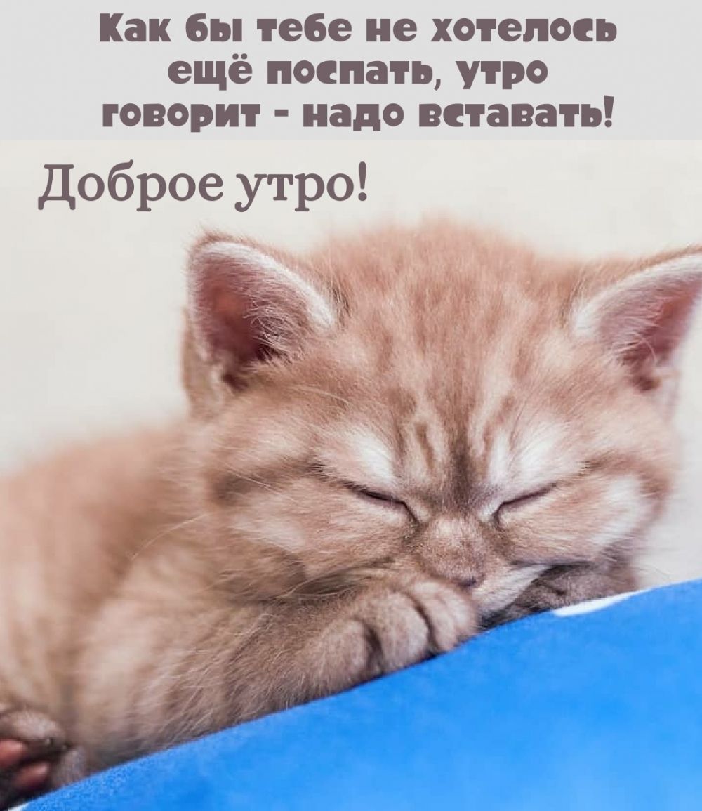 Как бы тебе не хотелось ещё поспать утро говорит иадв ваавать Доброе утро