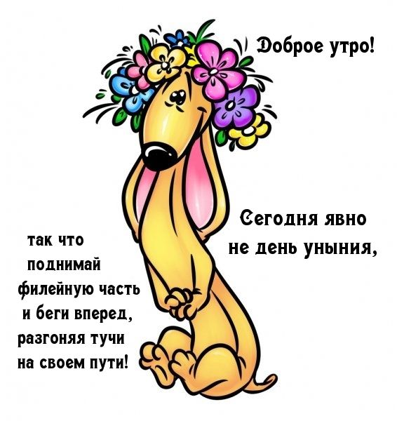 Сегодня явно их что не день уныния поцииивй филейиую честь и беги вперед разгоняя тучи ин своим пути