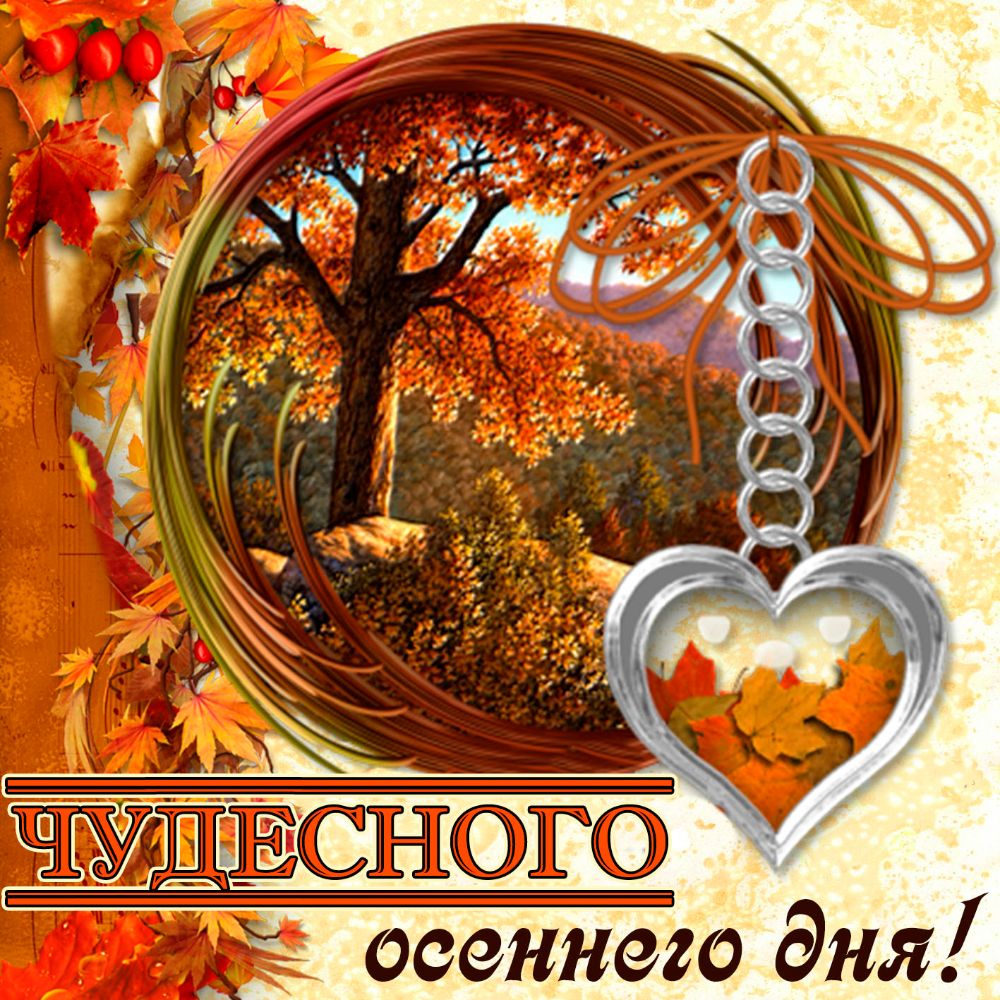1я и О 2 он с 0