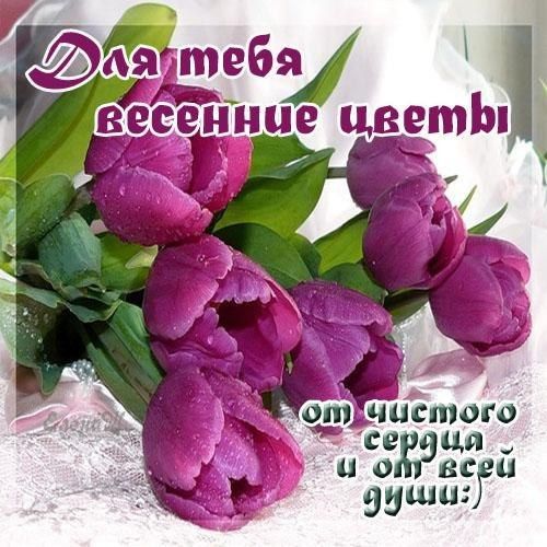 ЧЦСХПООО д3398 ваши