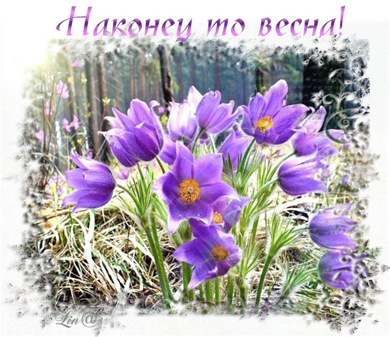 Гпити И1 хпгцн