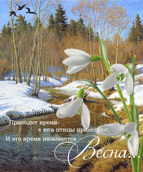 риходт время с юга птицы пр и введя