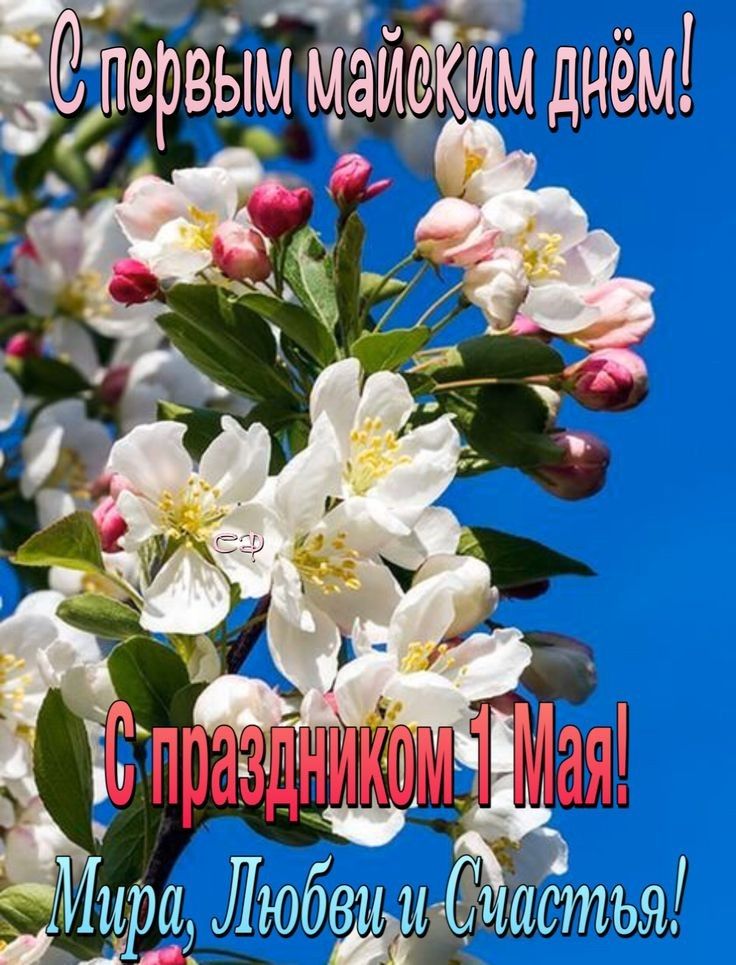 рвыммаиойимднем А і 41 чт А дийца Любщгбъ астъя