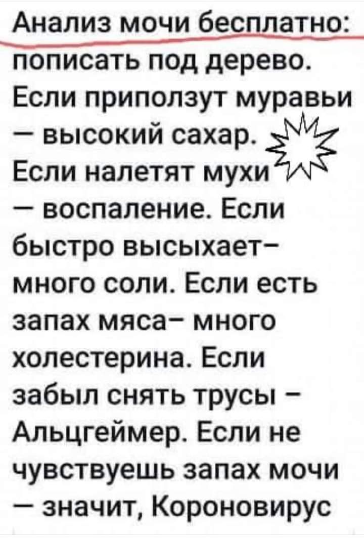 пописать под дерево Если приползут муравьи высокий сахар Если напетят мухи воспаление Если быстро высыхает много соли Если есть запах мяса много холестерина Если забыл снять трусы Альцгеймер Если не чувствуешь запах мочи значит Короновирус