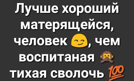 Лучше хороший матерящейся человек а чем воспитаная 4 тихая сволочь