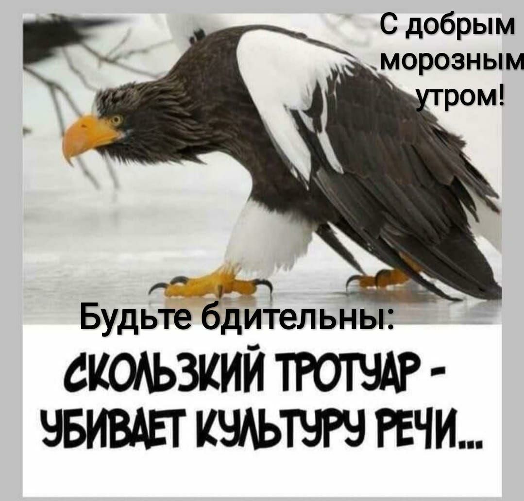 С добрым морозным Будьте бдительны СКОАЬЗКИЙ ТРОТЧАР ЧБИВАЕТ КЧАЬТЧРЧ РЕЧИ