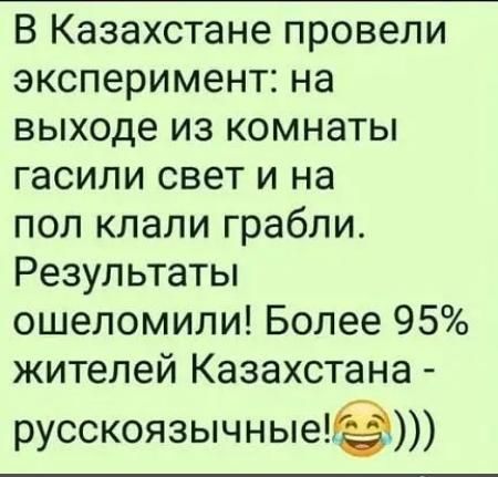 В Казахстане провели эксперимент на выходе из комнаты гасили свет и на пол клали грабли Результаты ошеломили Более 95 жителей Казахстана русскоязычные