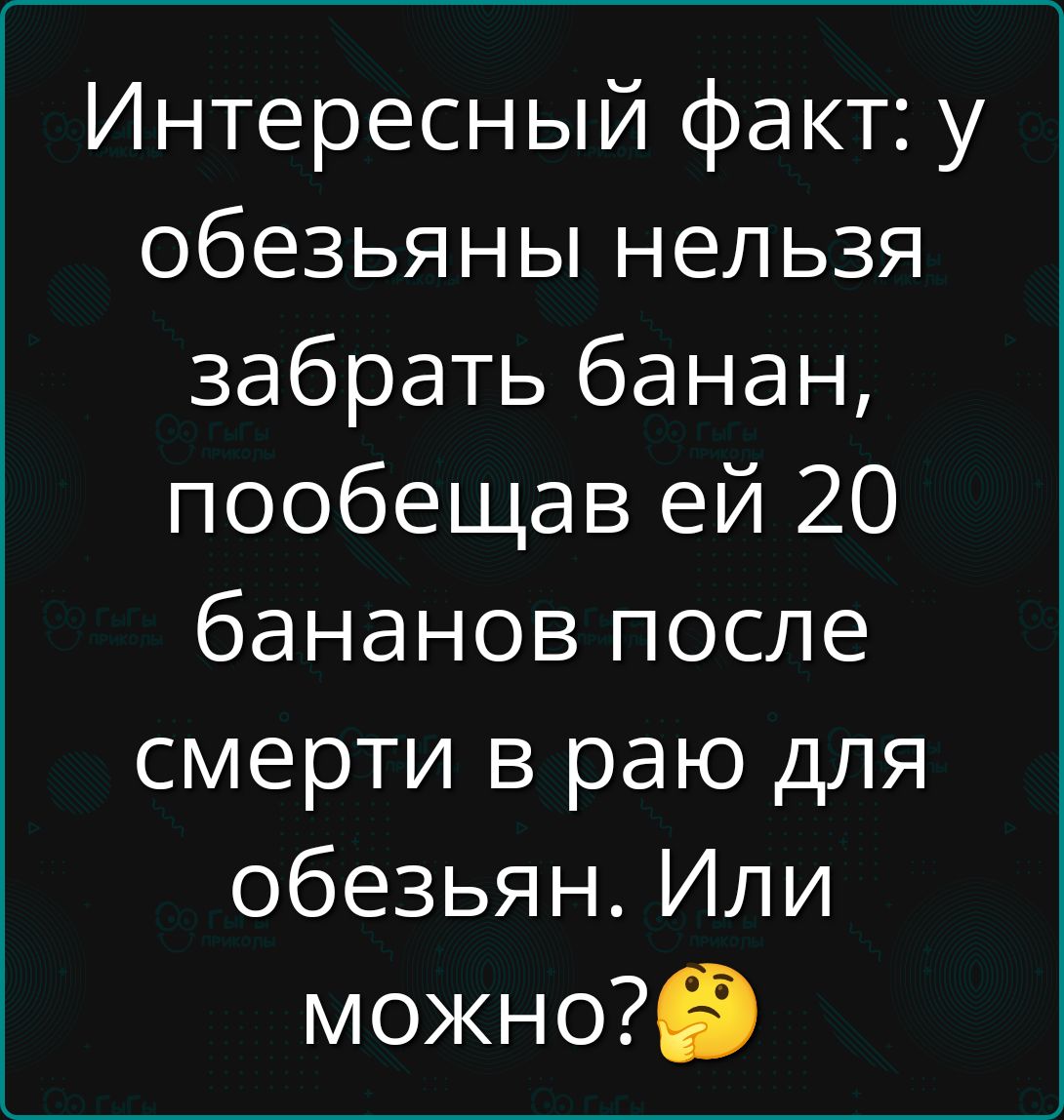 Интересный факт: у обезьяны нельзя забрать банан, пообещав ей 20 бананов после смерти в раю для обезьян. Или можно? 🤔