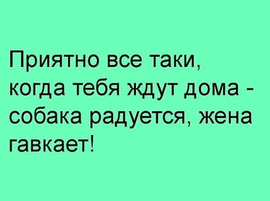 Приятно все таки когда тебя ждут дома собака радуется жена гавкает