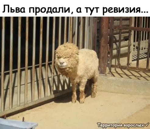 Льва продали тут ревизия і