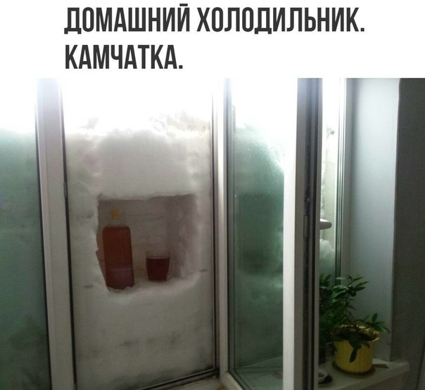 ЦЦМАШНИЙ ХОЛОДИЛЬНИК КАМЧАТКА