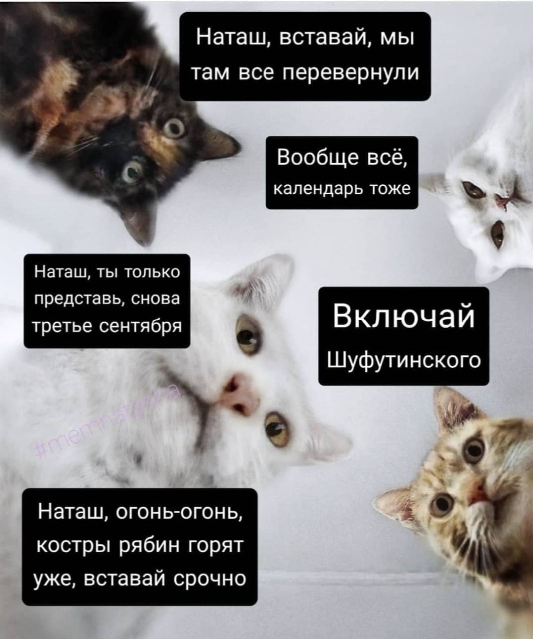 Наташ вставай мы там все перевернули 7 Вообще всё календарь ТОЖЭ Наташ ты только представь снова третье сентября В КЛ ЮЧ а Й Шуфутинского Наташ огонь огонь костры рябин горят уже вставай срочно