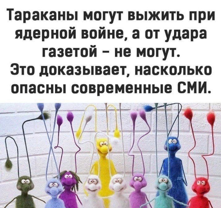 Тараканы могут выжить при ядерной войне а от удара газетой не могут Это доказывает насколько опасны современные СМИ