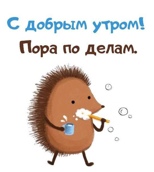 С добрым утром Пора по делам