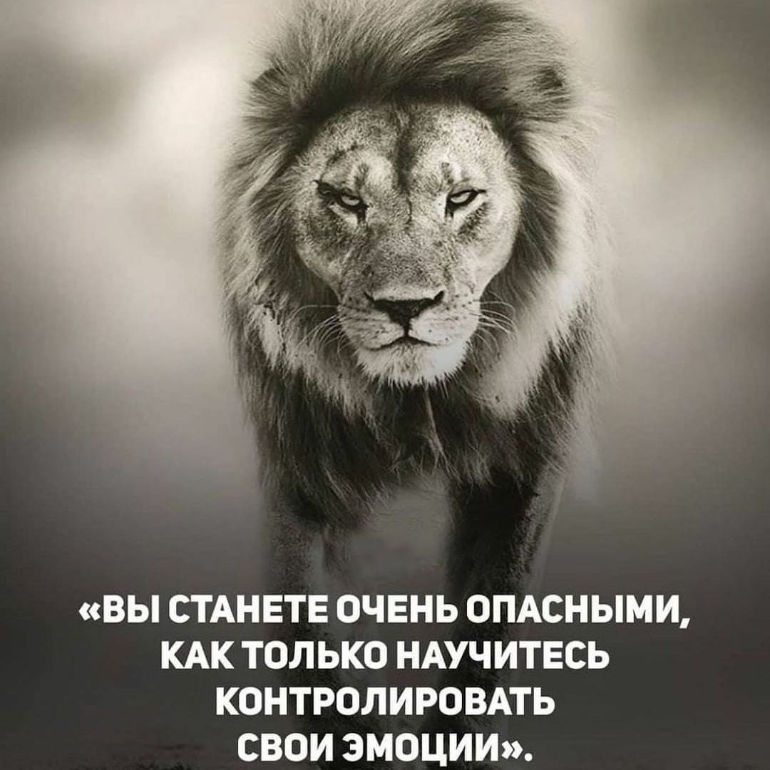 ВЫ СТАНЕТЕ ОЧЕНЬ ОПАСНЫМИ КАК ТОЛ ЬКО НАУЧИТЕСЬ КОНТРОЛИРОВАТЬ СВОИ ЭМОЦИИ