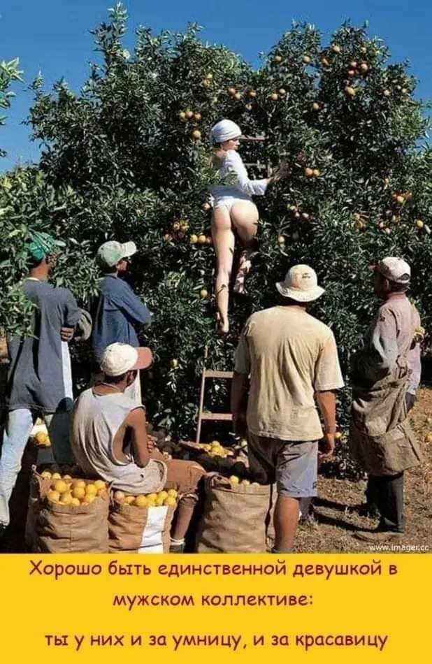 Хмм гул ч а т іщюіш ці шииты пишим чинам У