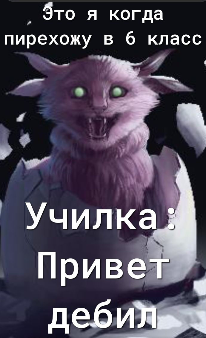 Это я когда пирехожу в 6 класс