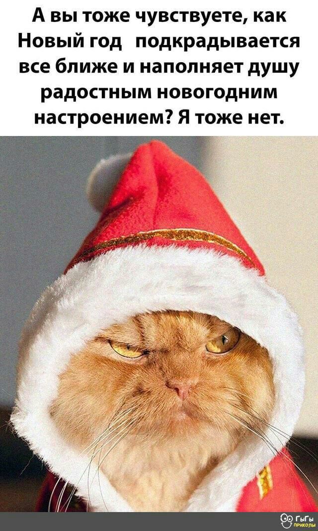 А вы тоже чувствуете как Новый год подкрадывается все ближе и наполняет душу радостным новогодним настроением Я тоже нет