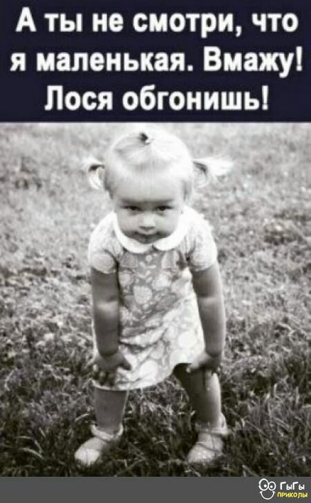А ты не смотри что я маленькая Виажу Лося обгонишь