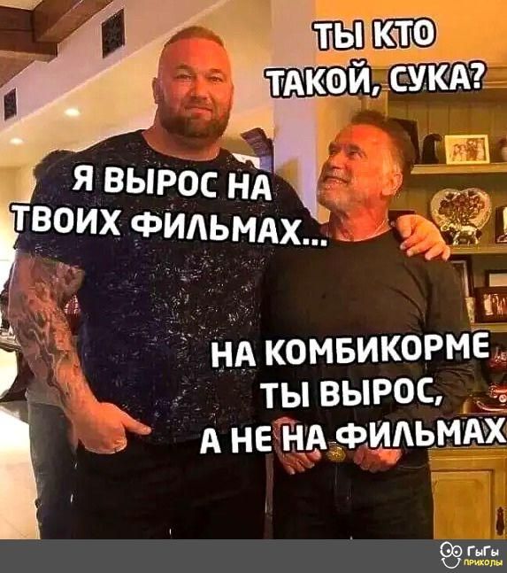 г_і ндкомвикорме тывыюс А ненвтфщьмтх 935