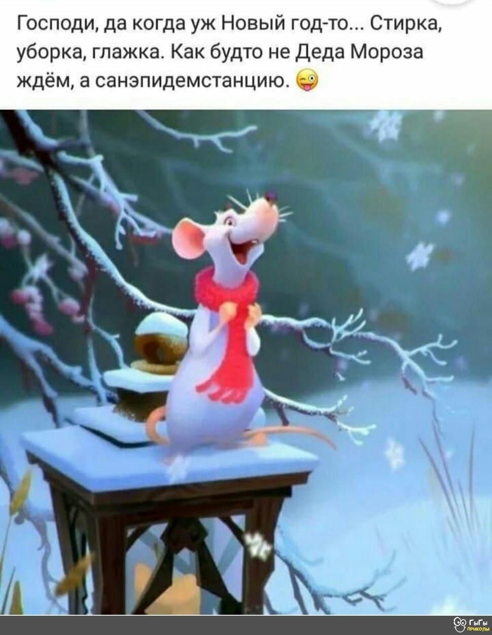Господи да когда уж Новый год то Стирка уборка глажка Как будто не Деда Мороза ждём а санэпидемстанцию