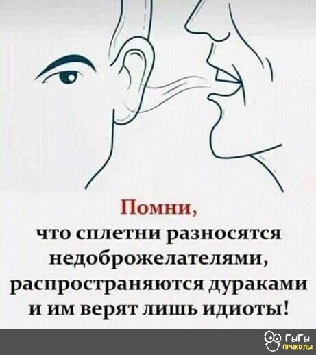 Помни ЧТО СПЛЕТНИ РЗЗНОСЯТСЯ недоброжелателями распространяются дураками И ИМ ВЕРЯТ ЛИШЬ ИДИОТЫ