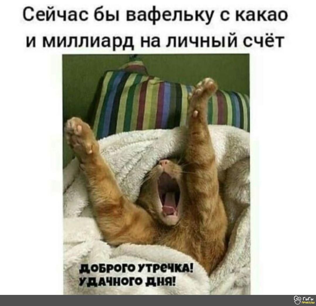 Сейчас бы вафельку с какао и миллиард на личный счёт