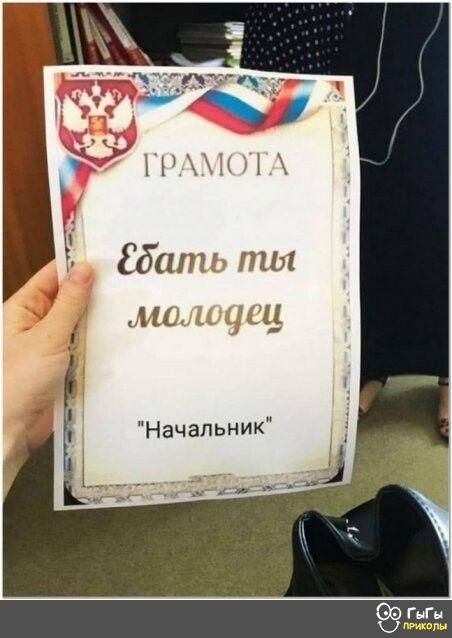 Сдать пил маличщ Начальник