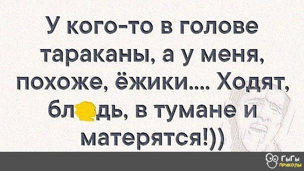 У кого то в голове тараканы а у меня похоже ёжики Ходят блдь в тумане и матерятся