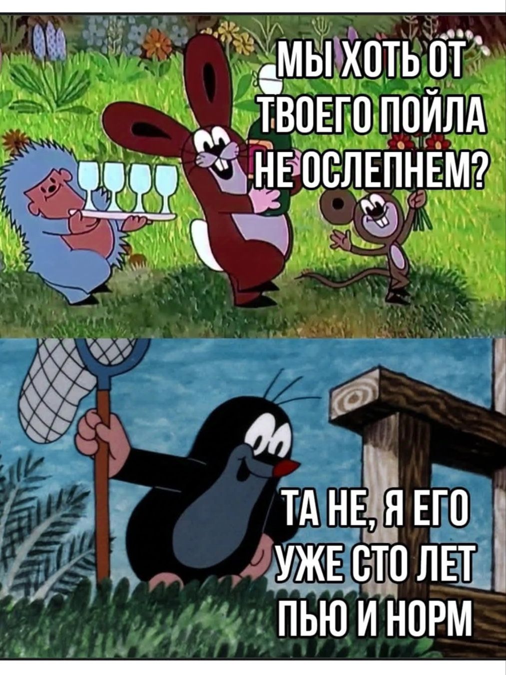 МЫ ХОТЬ ОТ ТВОЕГО ПОЙЛА НЕ ОСЛЕПНЕМ?
ТА НЕТ, Я ЕГО УЖЕ СТО ЛЕТ ПЬЮ И НОРМ