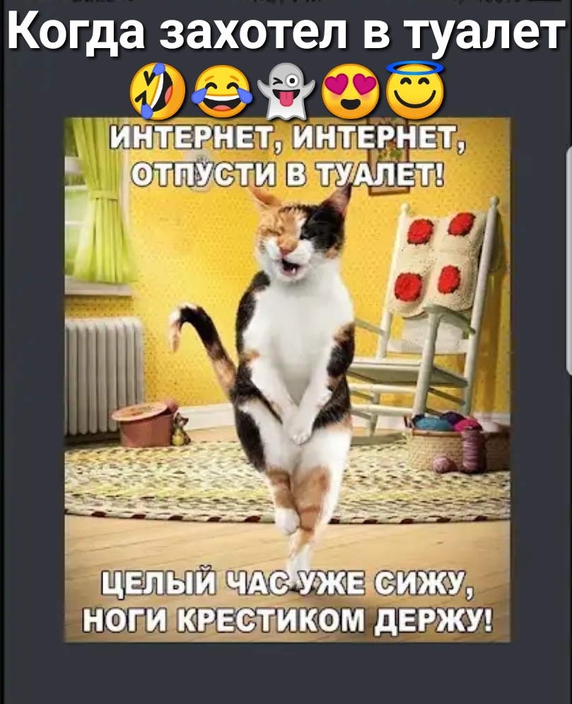 Когда захотел в туалет не твинет интернет 7 в тудлвтът НФГИКВЁДЪИКОМ дЕРЖУ