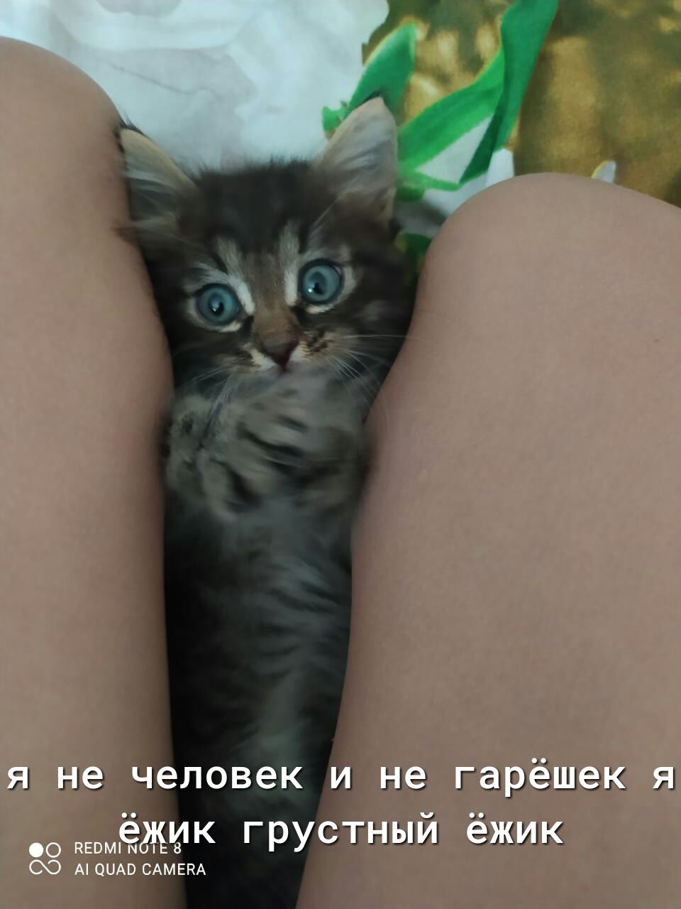 я не еловек иінэ гарёшак я ик грусшный ёжик