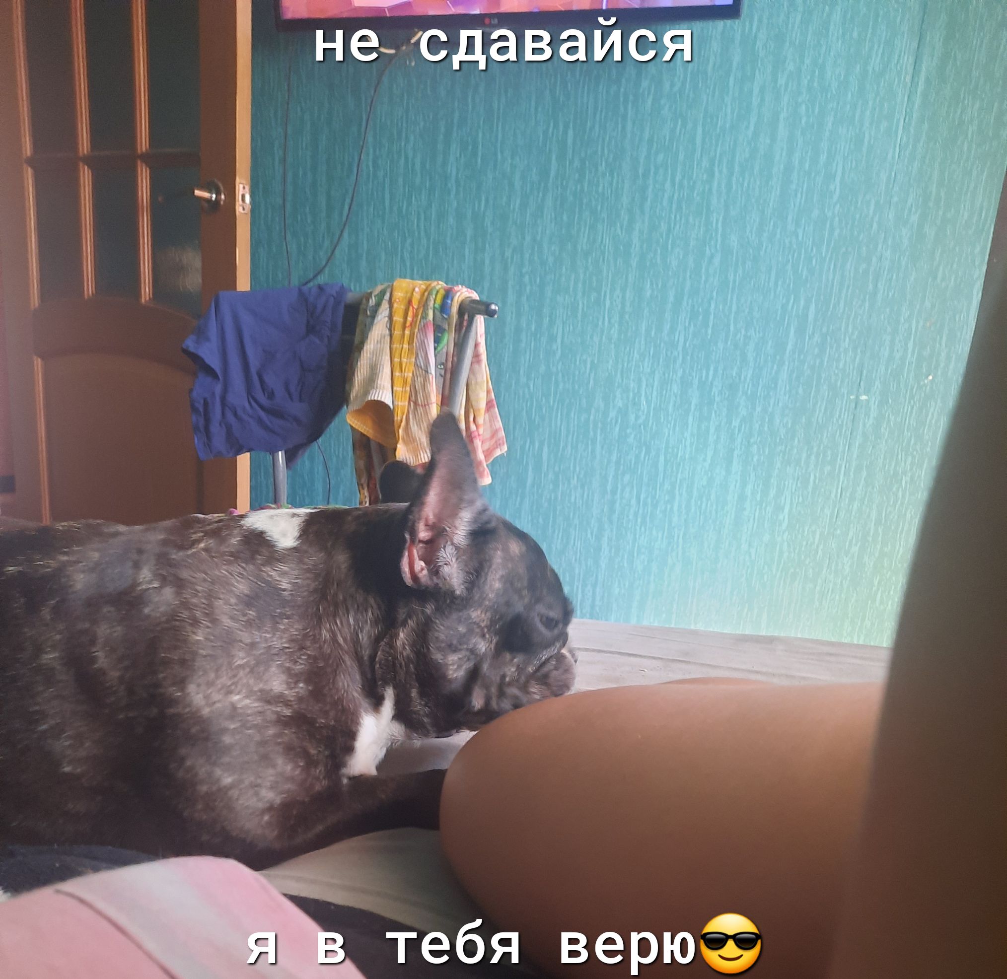 негсдаваисщ тебя верюё
