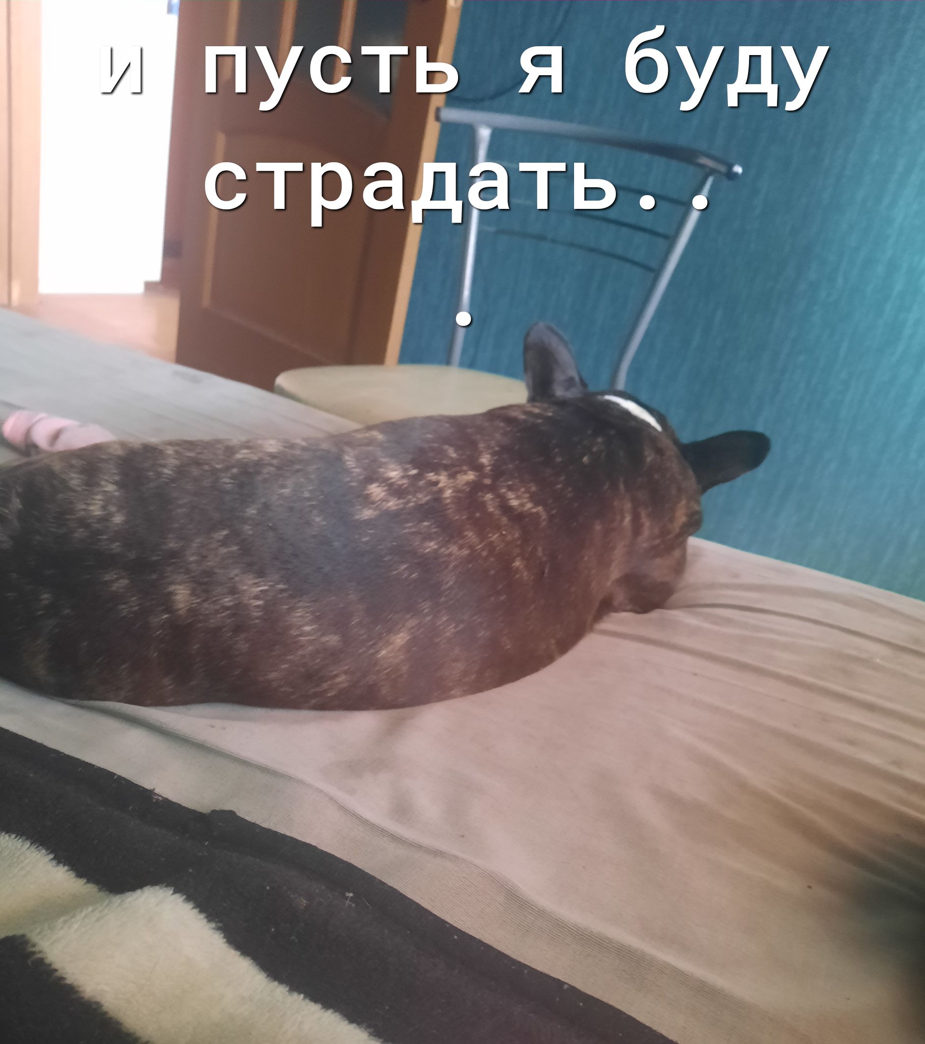 Т уёт я буду