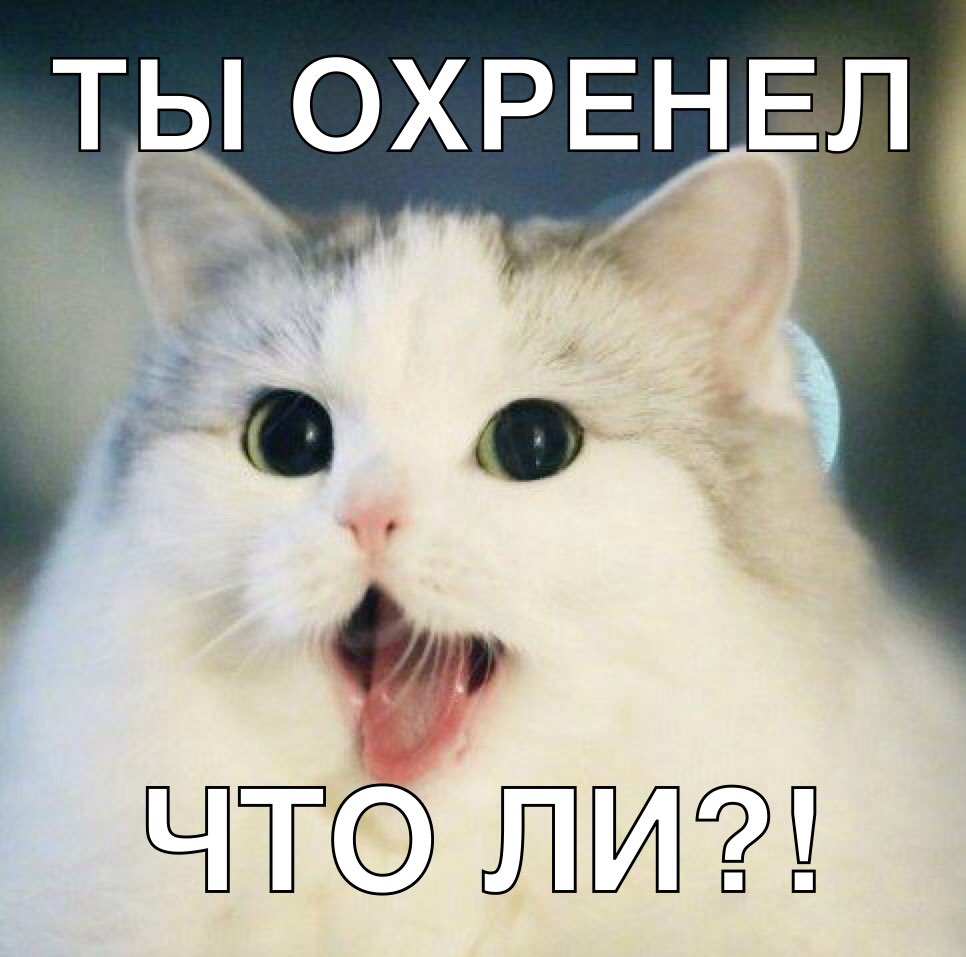 Т ОХРЕНЕЛ г О 01 ЧТ