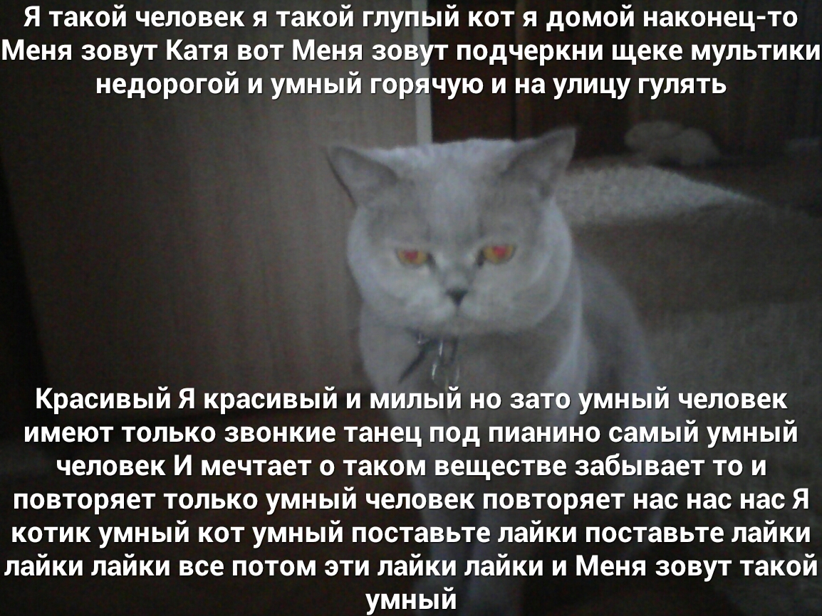 Я такой человек я такой глупый кот я домой наконец то Меня зовут Катя вот Меня зовут подчеркни щеке мультики недорогой и умный горячую и на улицу гулять Красивый Я красивый и милый но зато умный человек имеют только звонкие танец под пианино самый умный человек И мечтает о таком веществе забывает то и повторяет только умный человек повторяет нас нас нас Я котик умный кот умный поставьте лайки пост