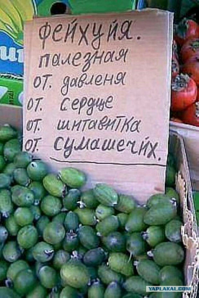 0 щигаёдта __ сушатіх