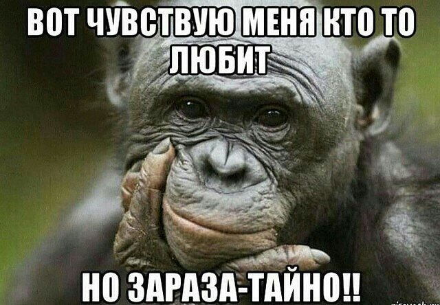 ВШ ЧУВВТВУЮ Щ НП Т0 З _г но ЗдРдЗд ТАИНПЦ