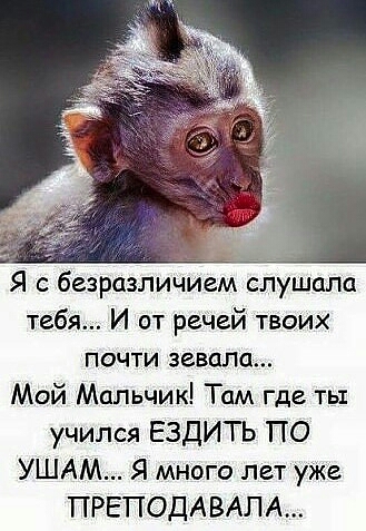 Я с безразличием слушала тебя И от речей твоих почти завода Мой Мальчик Там где ты учился ЕЗДИТЬ ПО УШАМ Я много лет уже ПРЕПОДАВАПА