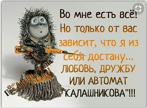 Во мне есть всё Но только от вас ЕИС ЧТО Я дну ЛЮБОВЬ ДРУЖБУ ИЛИ АВТОМАТ КАЛАШНИКОВА